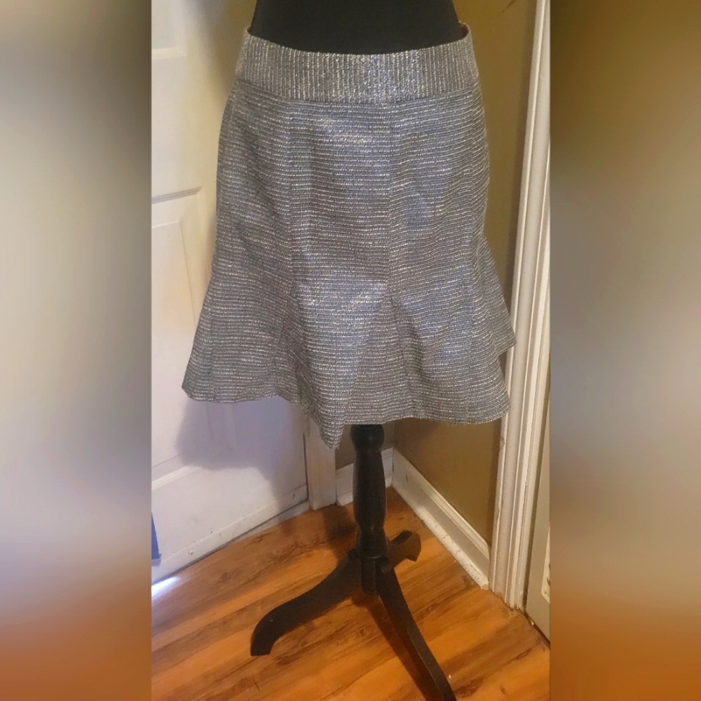 Banana Republic Elegant Silver Pleated Women's Skirt, Size 4
